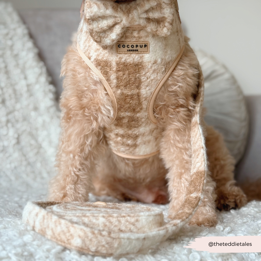 Highland Fleece Adjustable Neck Harness, Lead & Collar Bundle - Oatmeal