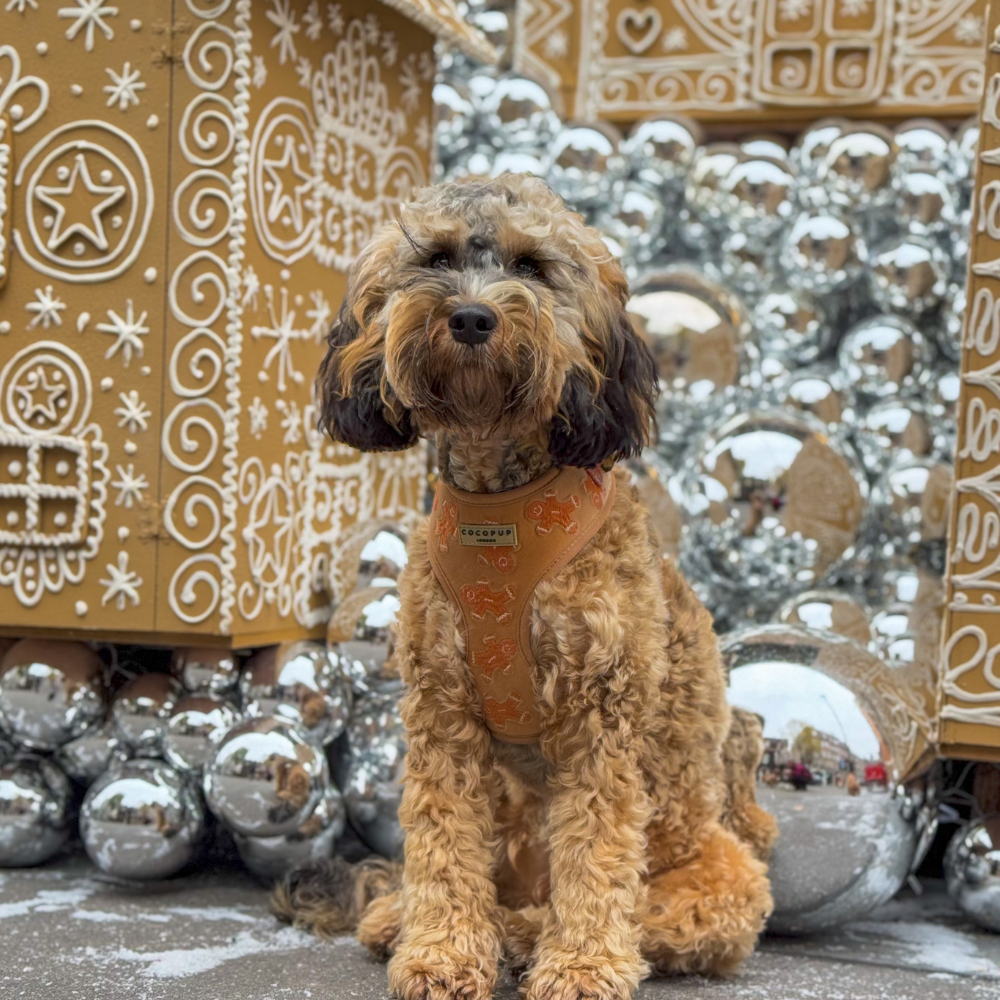 Luxe Velvet Adjustable Neck Harness - Gingerbread Treats