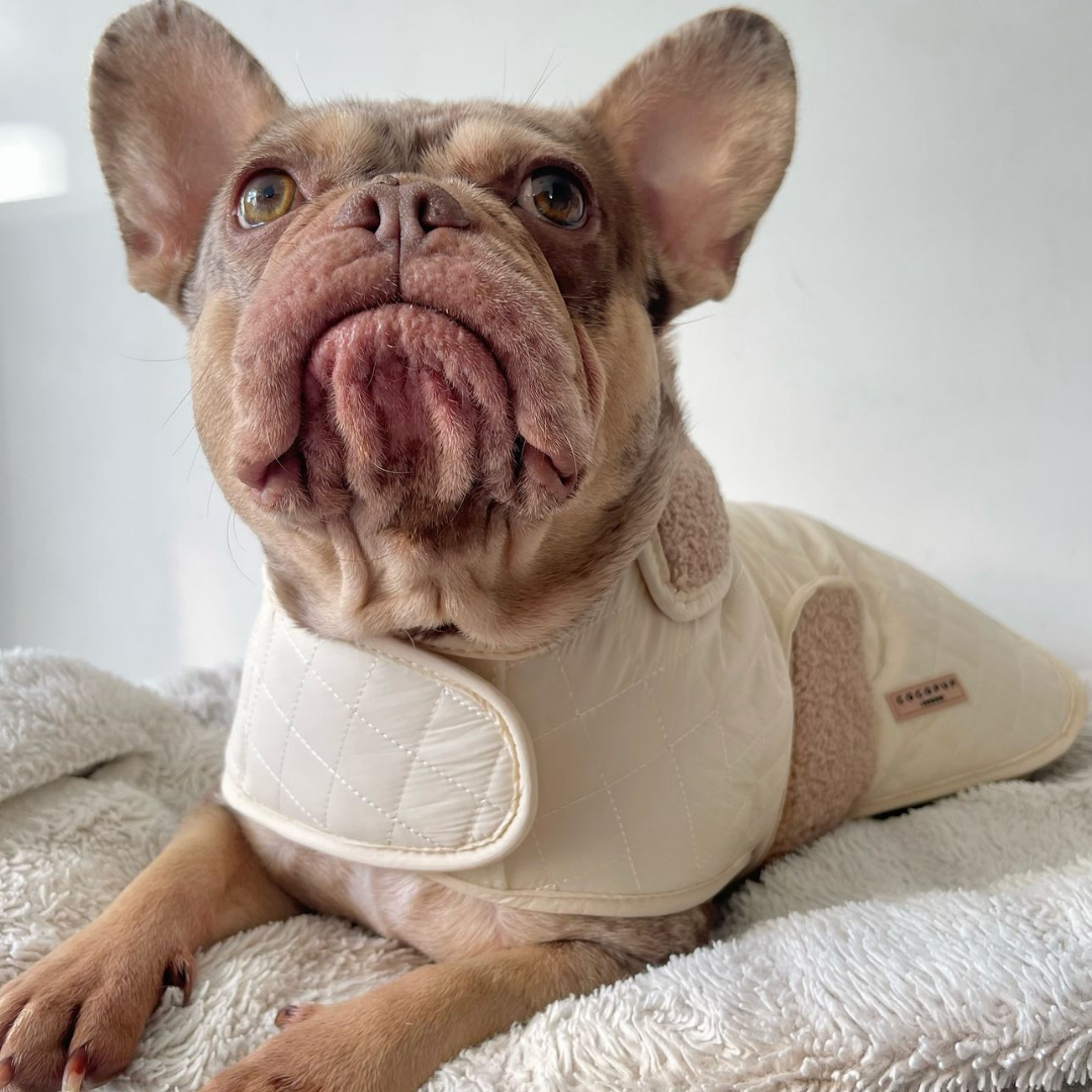 LUXE Quilted Dog Coat - Creamy Chai | Cocopup London LUXE Quilted Dog Coat - Creamy Chai | Cocopup London
