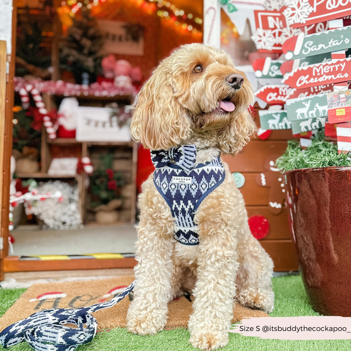 Chalet Pup Bow Tie