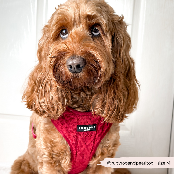 Cable Knit Jumper Adjustable Neck Harness - Mulled Pup Wine