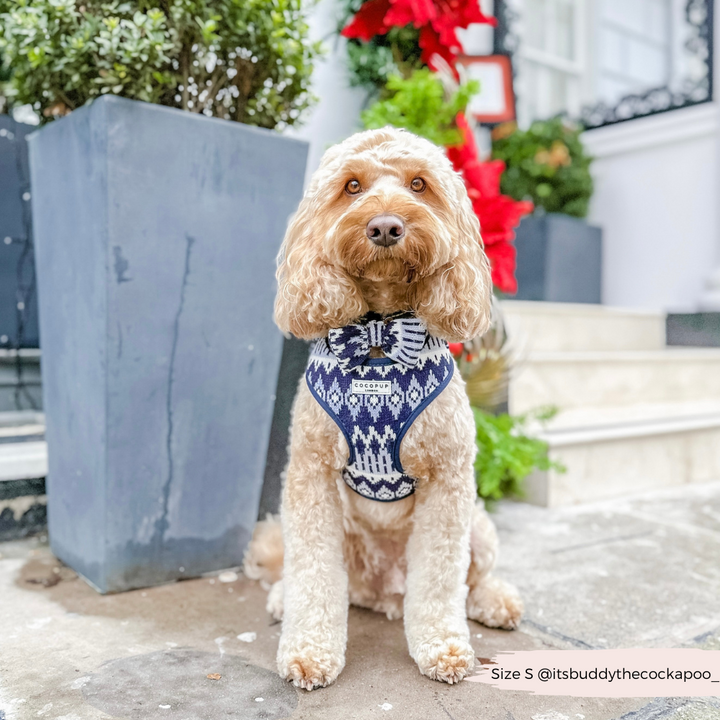 Chalet Pup Bow Tie