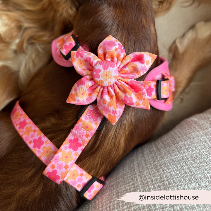 Summer Bloom Collar Flower