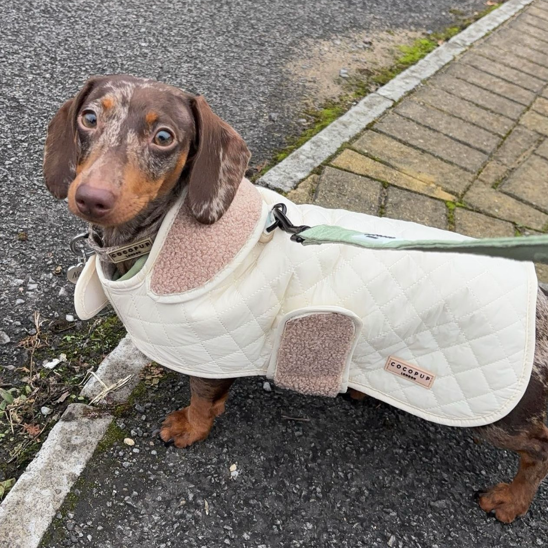 LUXE Quilted Dog Coat - Creamy Chai | Cocopup London LUXE Quilted Dog Coat - Creamy Chai | Cocopup London