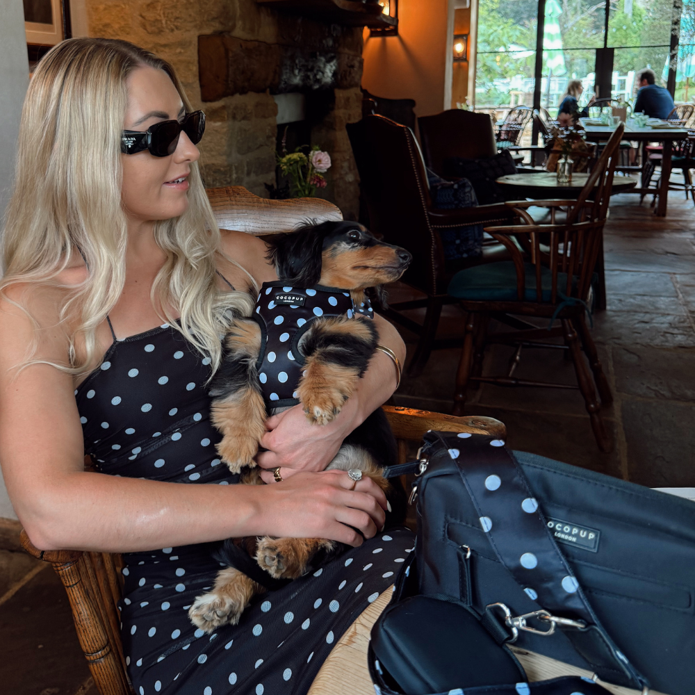 Satin Polka Dot Adjustable Neck HARNESS