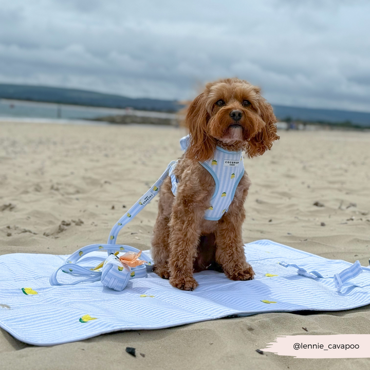 PERSONALISED Travel Mat - Living La Vida Lemon
