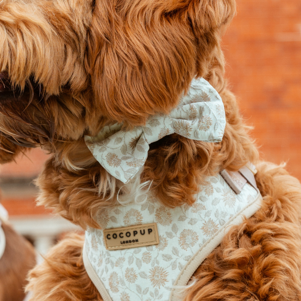 Bow Ties Cocopup London