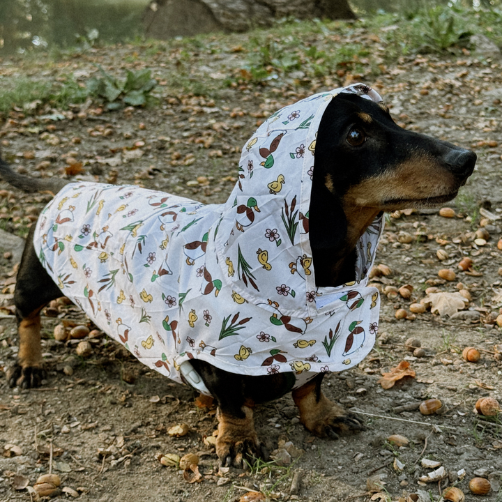 Dog Raincoat - Puddle Pup