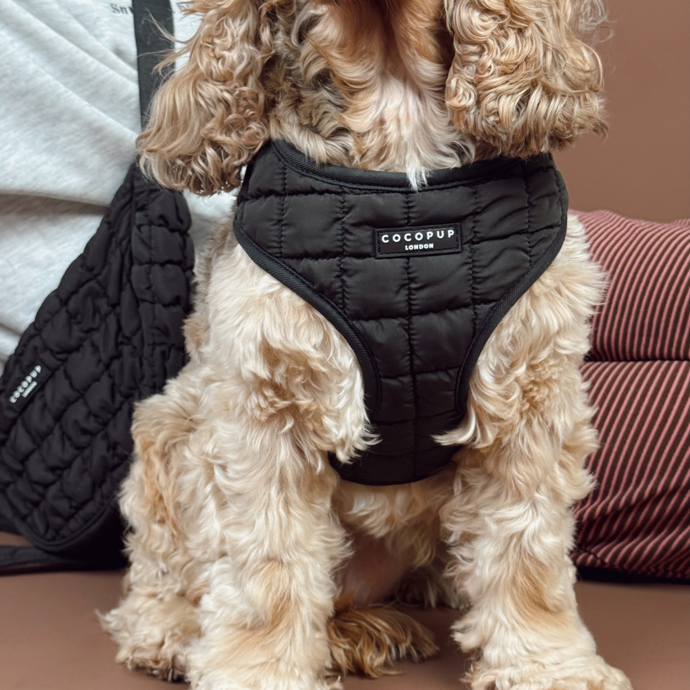 Onyx Quilted Adjustable Neck HARNESS