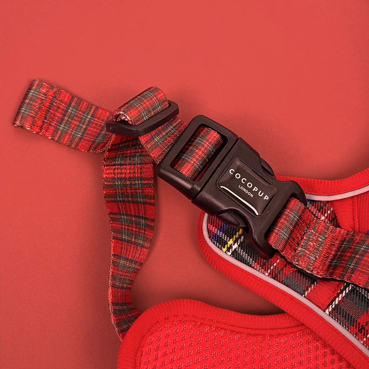 Explore Harness - Tartan