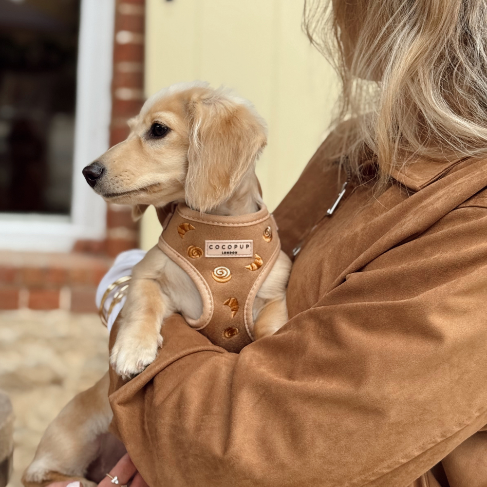 Pawtisserie Adjustable Neck HARNESS