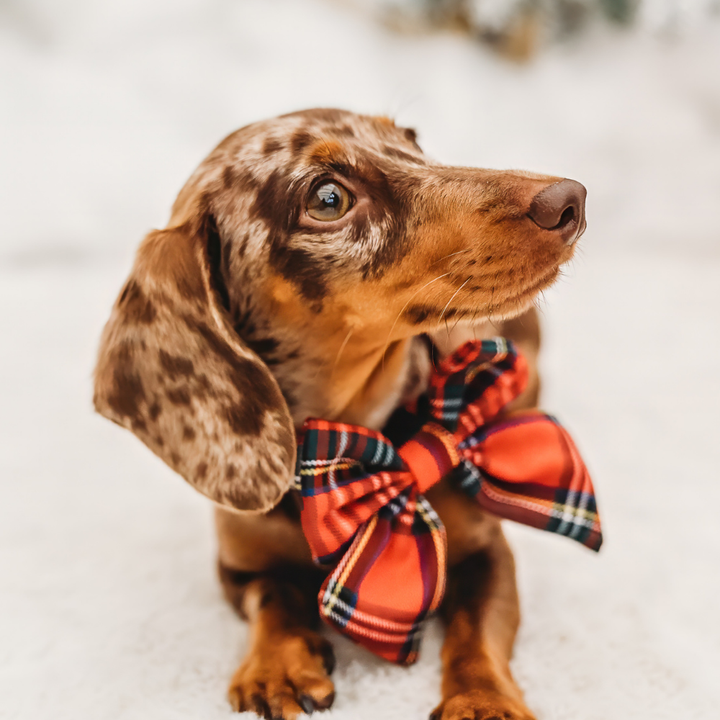 Tartan Sailor Bow Tie