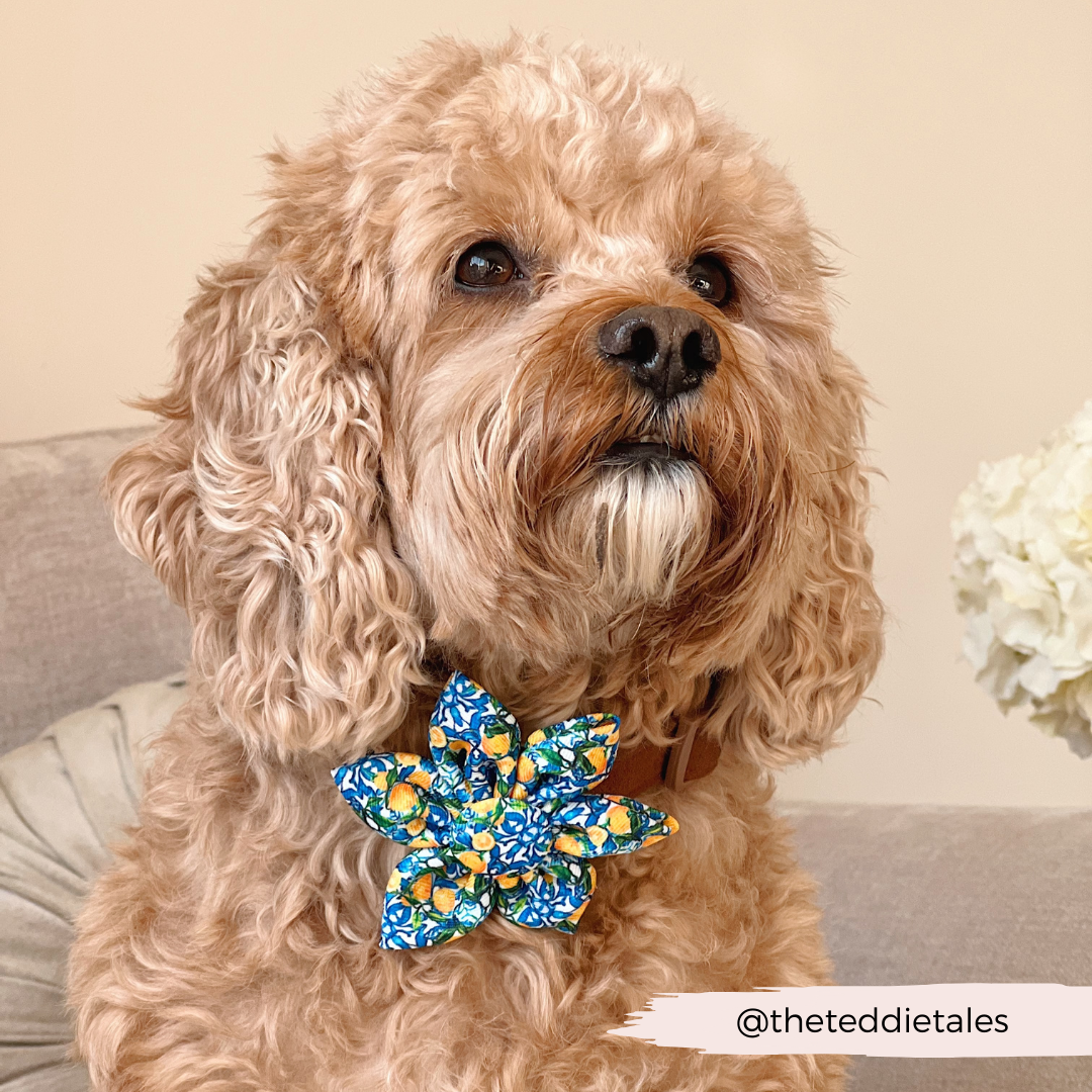 Amalfi Lemon Collar Flower