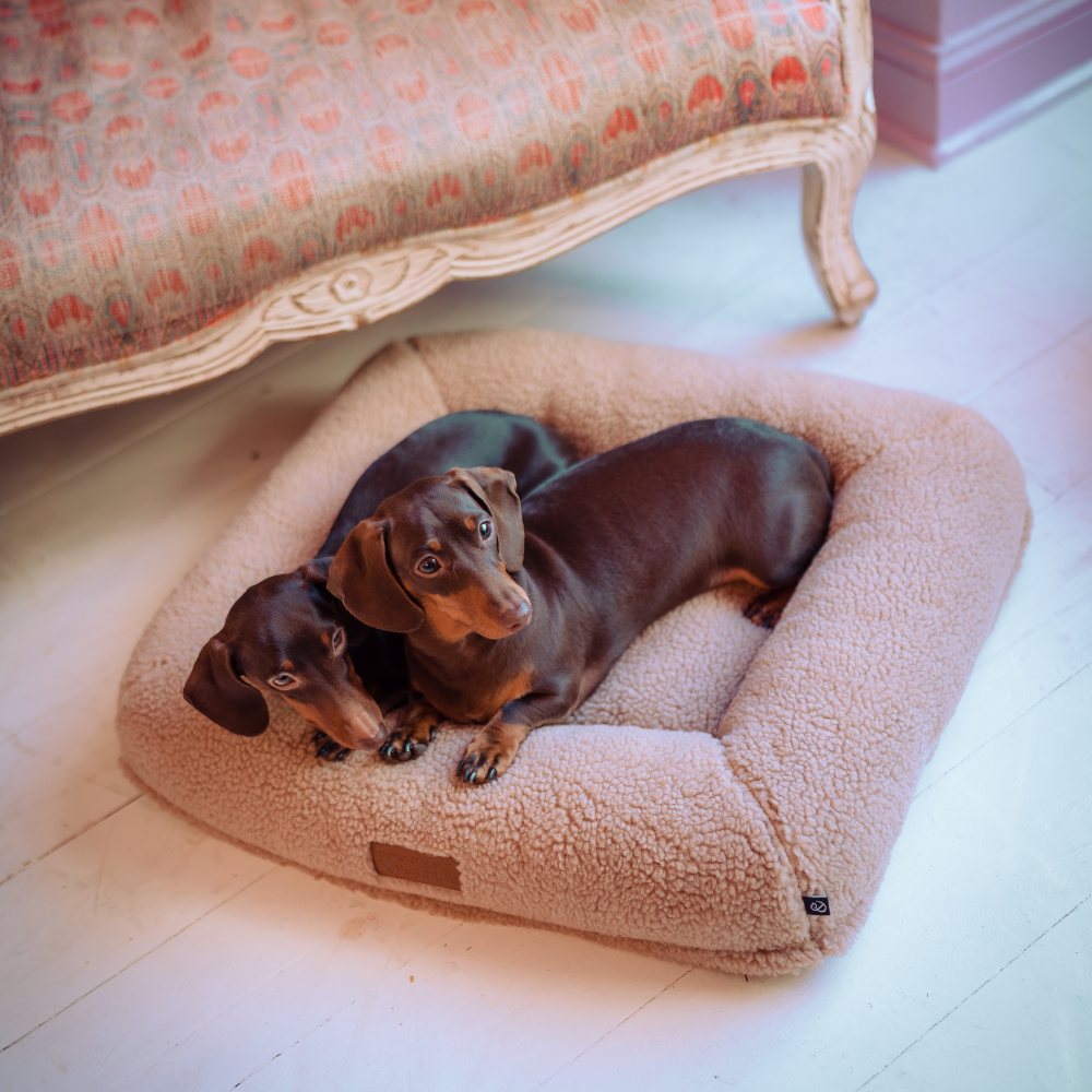 Cocopup X Pup & Kit - Dog Bed