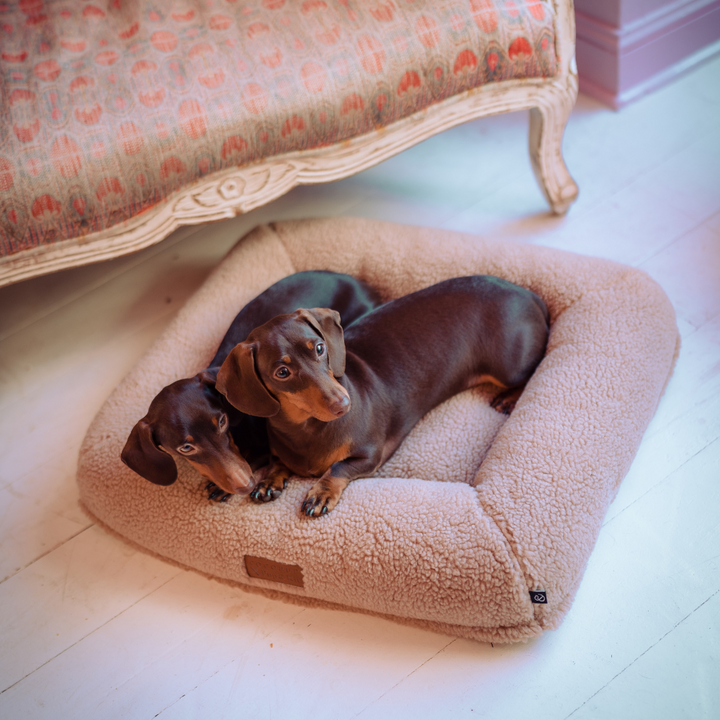 Cocopup X Pup & Kit - Dog Bed