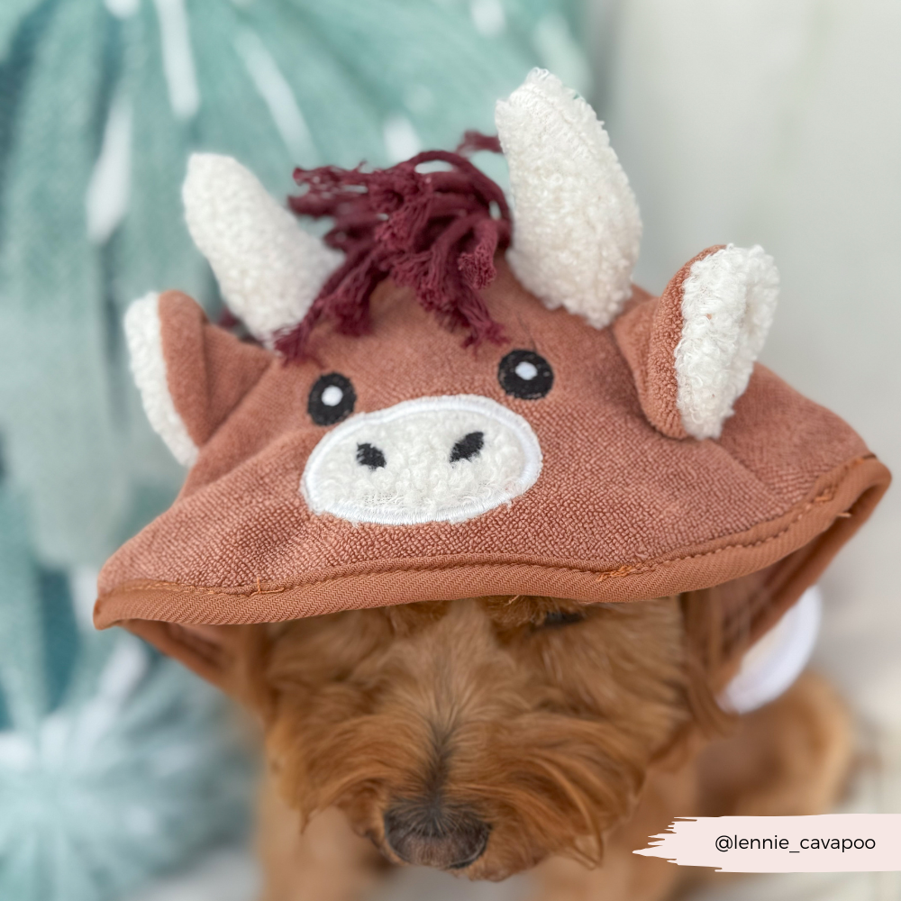 Highland Cow Drying Robe | Cocopup London