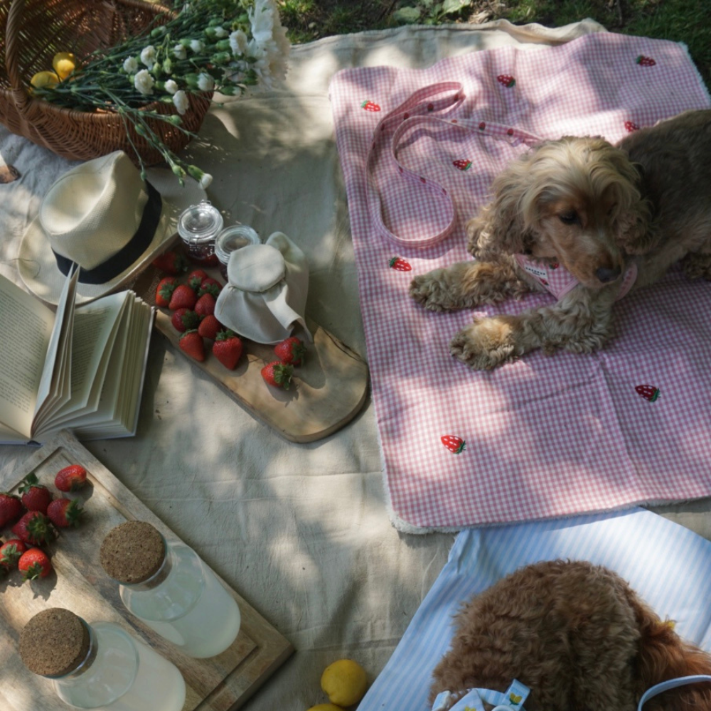 PERSONALISED Blanket - Strawberry Picnic Pup