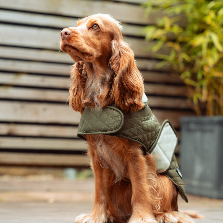 LUXE Quilted Dog Coat - Country Khaki