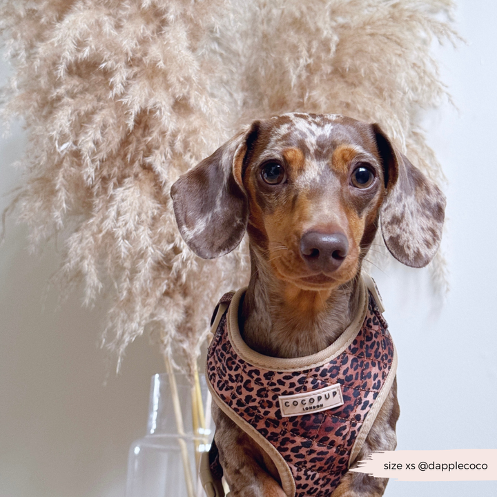 Quilted Leopard Pup Adjustable Neck Harness