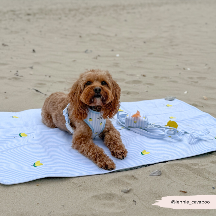 PERSONALISED Travel Mat - Living La Vida Lemon