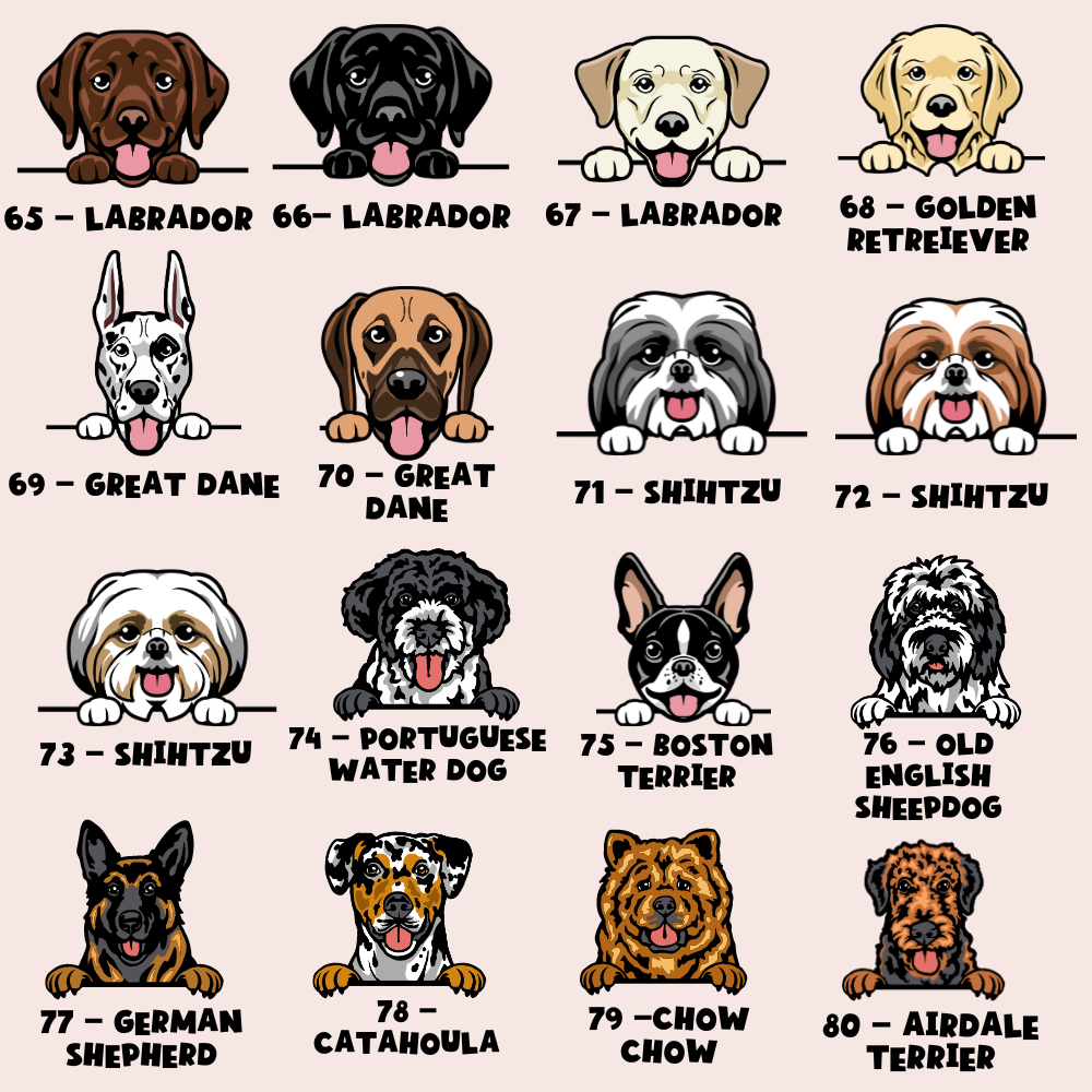 Personalised Dog Cartoon ID Tag - Daisy Gingham Rave