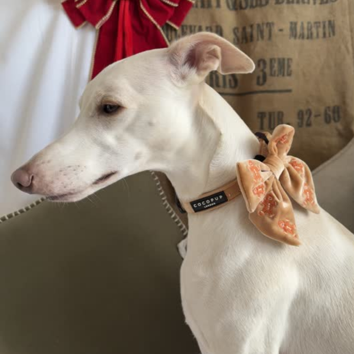 Luxe Velvet Sailor Bow Tie - Gingerbread Treats
