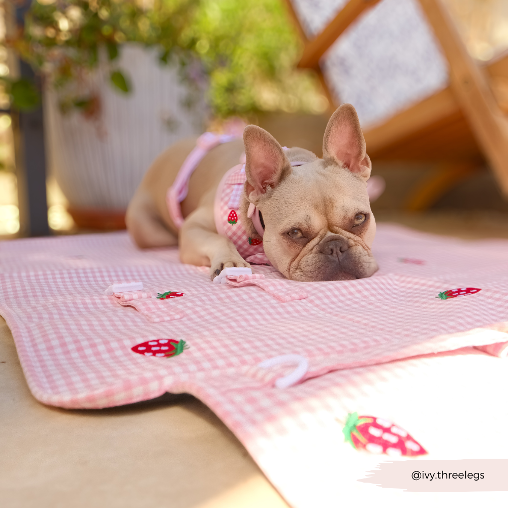 Travel Mat - Strawberry Picnic Pup