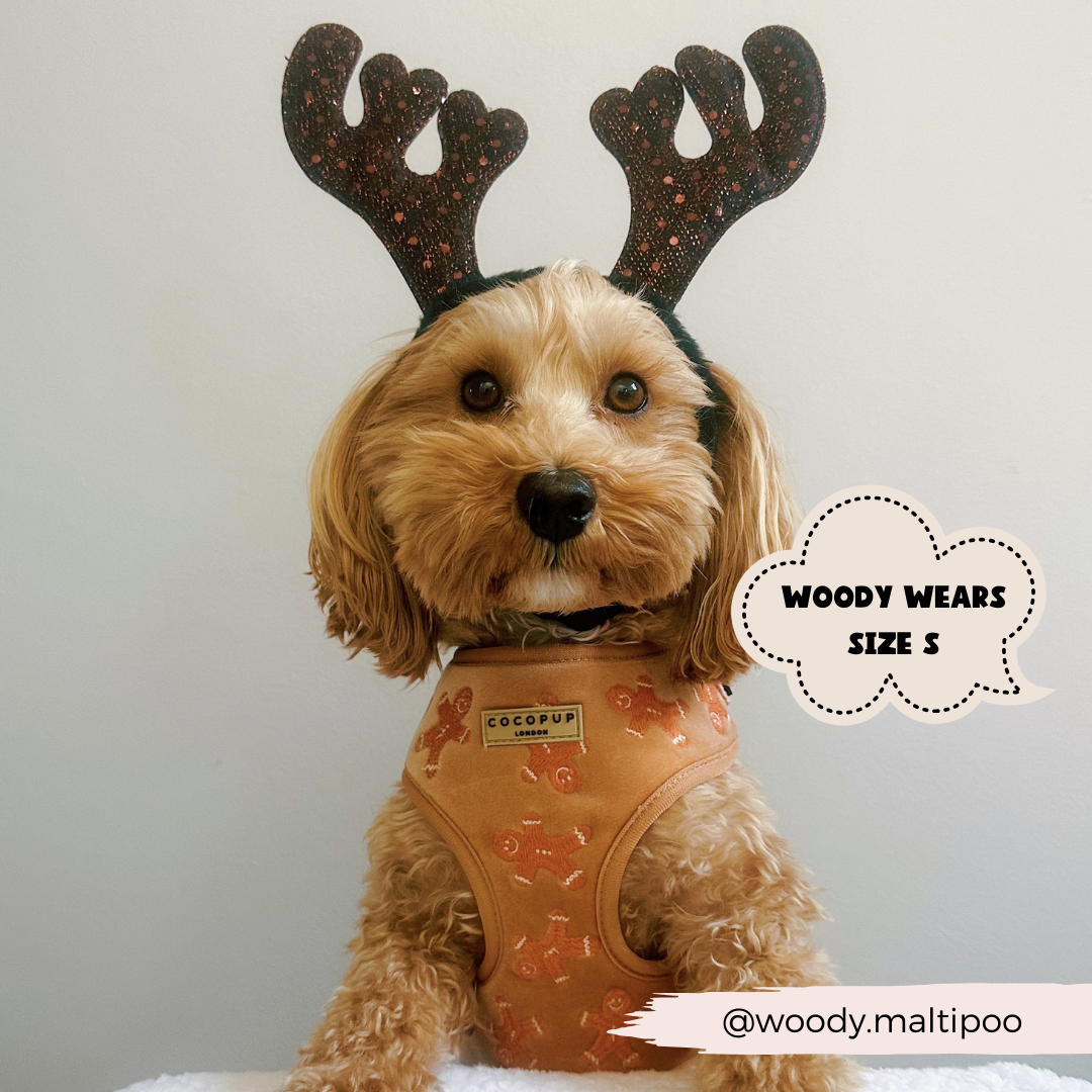 Luxe Velvet Adjustable Neck Harness - Gingerbread Treats