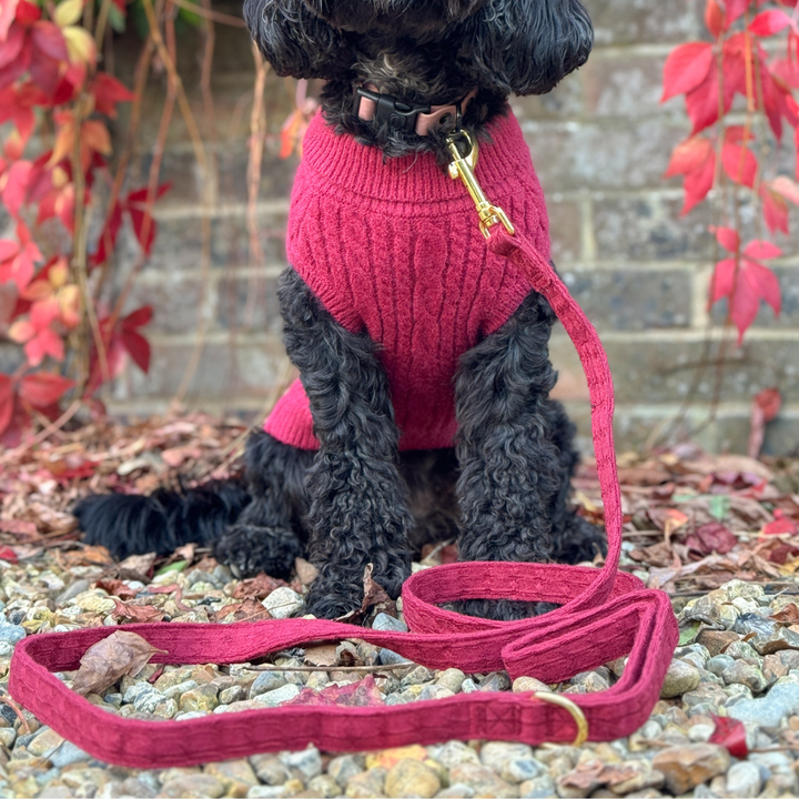 Mulled Wine Cable Knit Adjustable Neck Harness, Lead & Collar Bundle