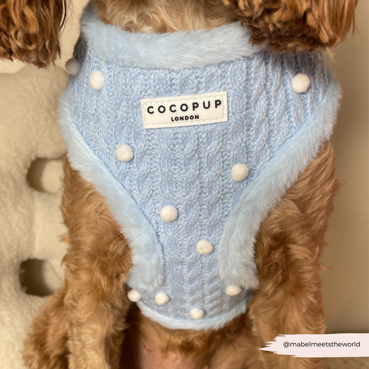 Snowpaws Adjustable Neck Harness, Lead & Collar Bundle