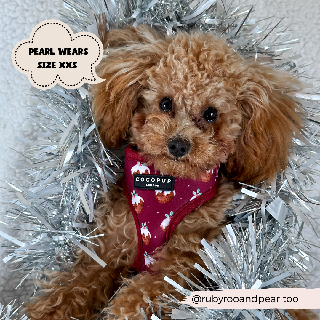 Woofmas Pudding Adjustable Neck Harness