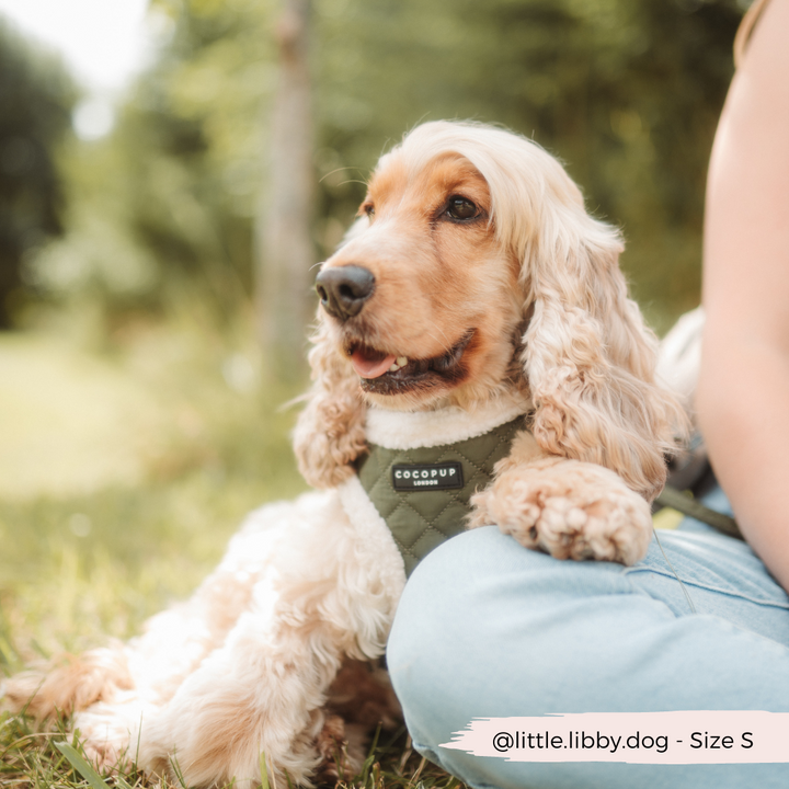 Khaki Quilted Adjustable Neck Harness