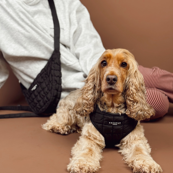Onyx Quilted Adjustable Neck HARNESS