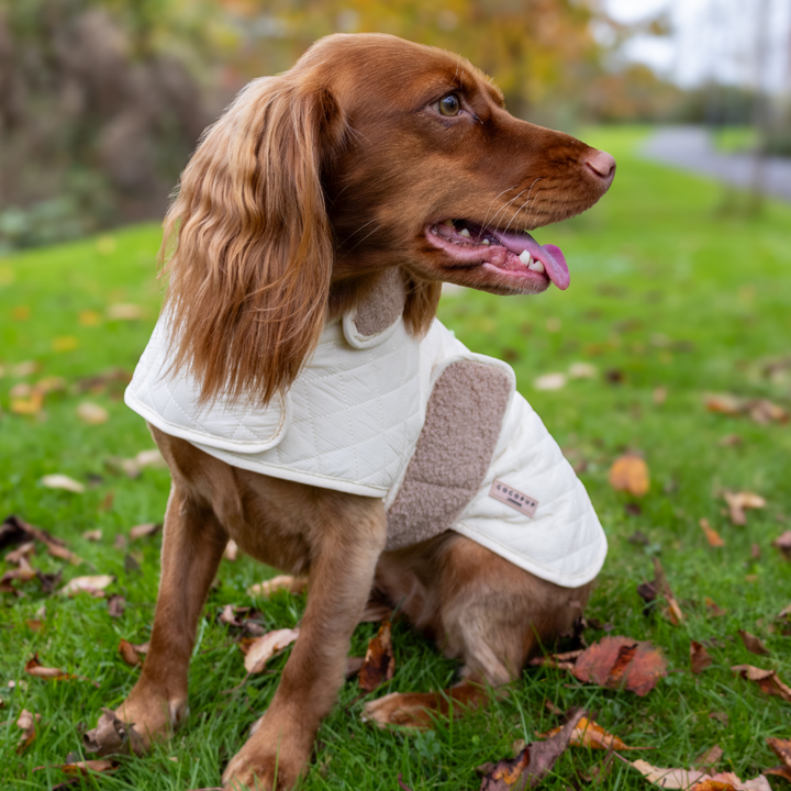 LUXE Quilted Dog Coat - Creamy Chai