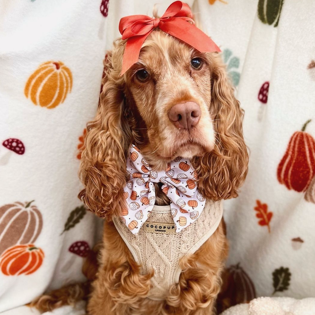 Cinnamon Buns Sailor Bow Tie