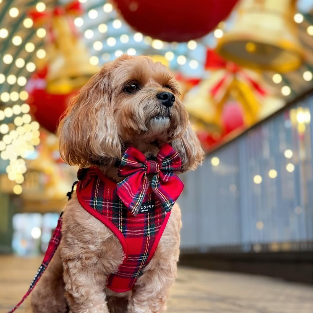 Tartan Sailor Bow Tie