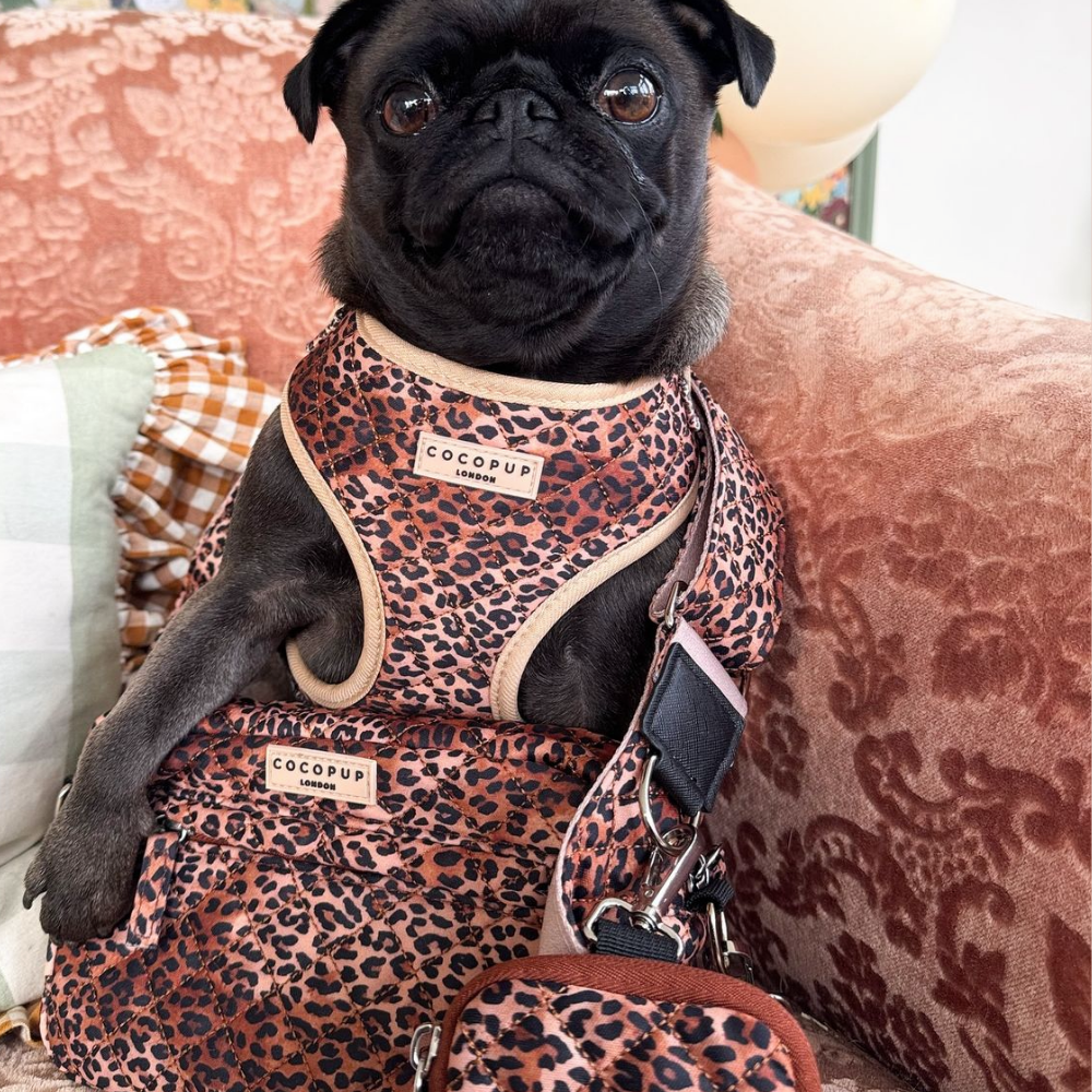 Dog Walking Bag - Quilted Leopard Pup – Cocopup London Dog Walking Bag - Quilted Leopard Pup – Cocopup London