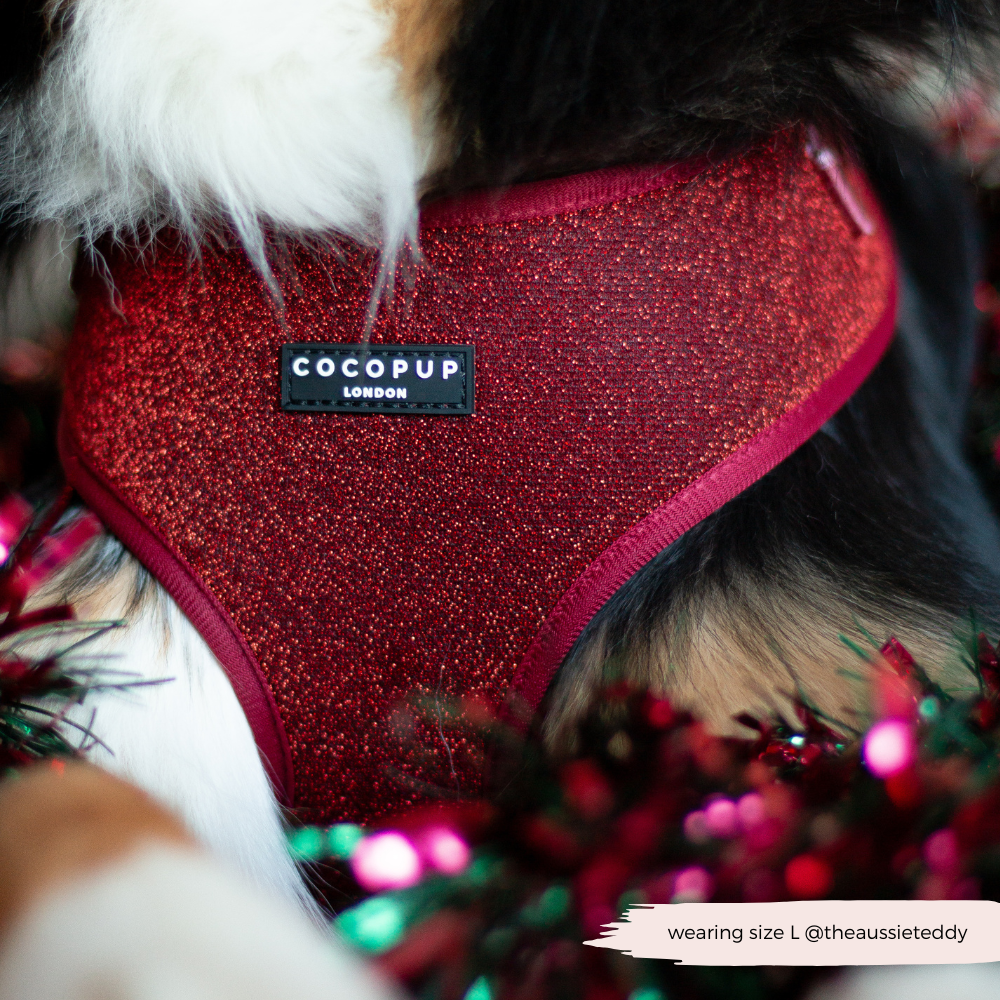 Limited Edition Burgundy Sparkle Pup Adjustable Neck Harness, Lead & Collar Bundle