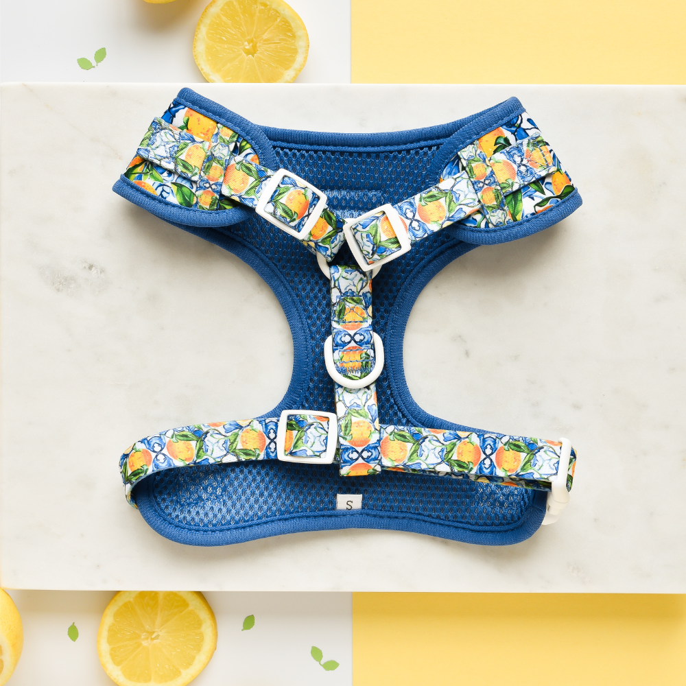 PRE-ORDER - Amalfi Lemon Adjustable Neck Harness