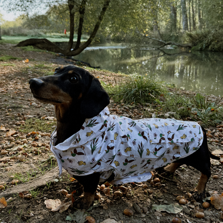 Dog Raincoat - Puddle Pup