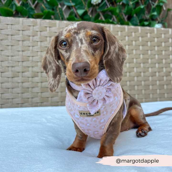 Nude Chic Leopard Collar Flower