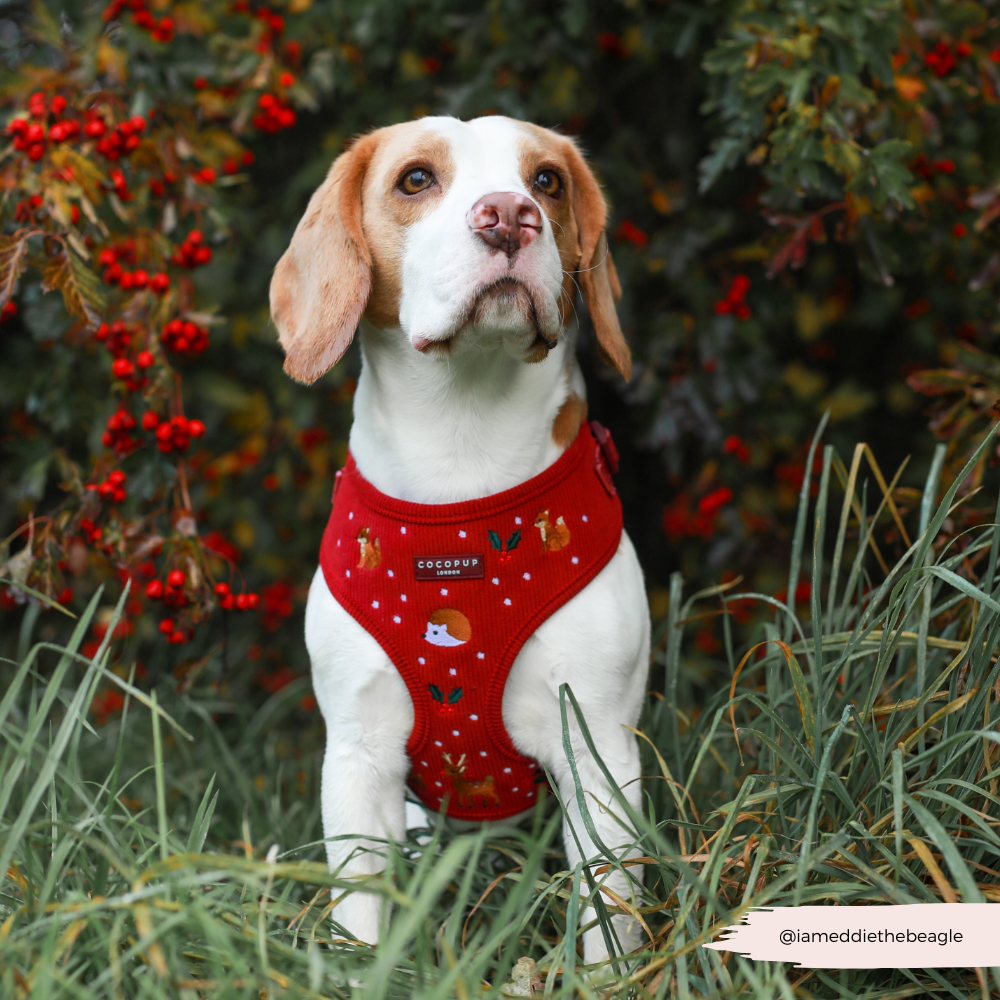 Holly Jolly Trails Adjustable Neck HARNESS