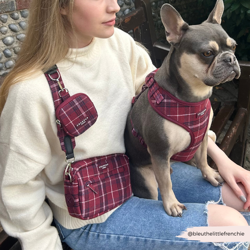Mulberry Plaid Dog Walking Bag Bundle - Mulberry Plaid