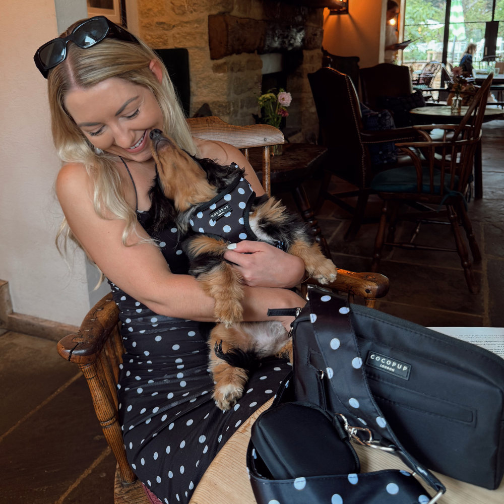 Satin Polka Dot Adjustable Neck HARNESS