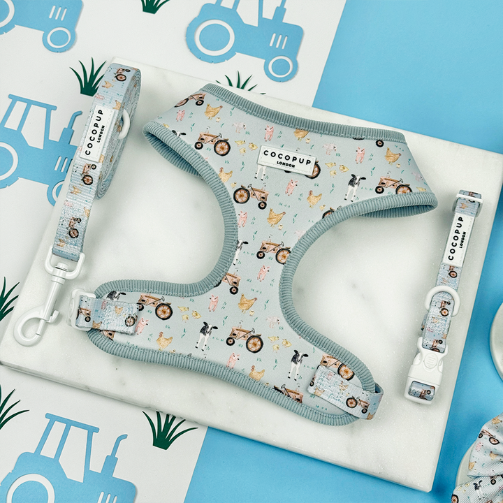 Barnyard Buddies Adjustable Neck Harness, Lead & Collar Bundle