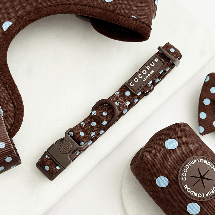 A brown dog collar with light blue polka dot design. Featuring brown hardware.