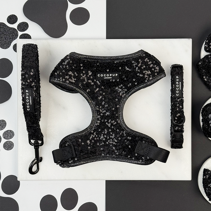 Limited Edition Sparkle Season Black Adjustable Neck Harness, Lead & Collar Bundle