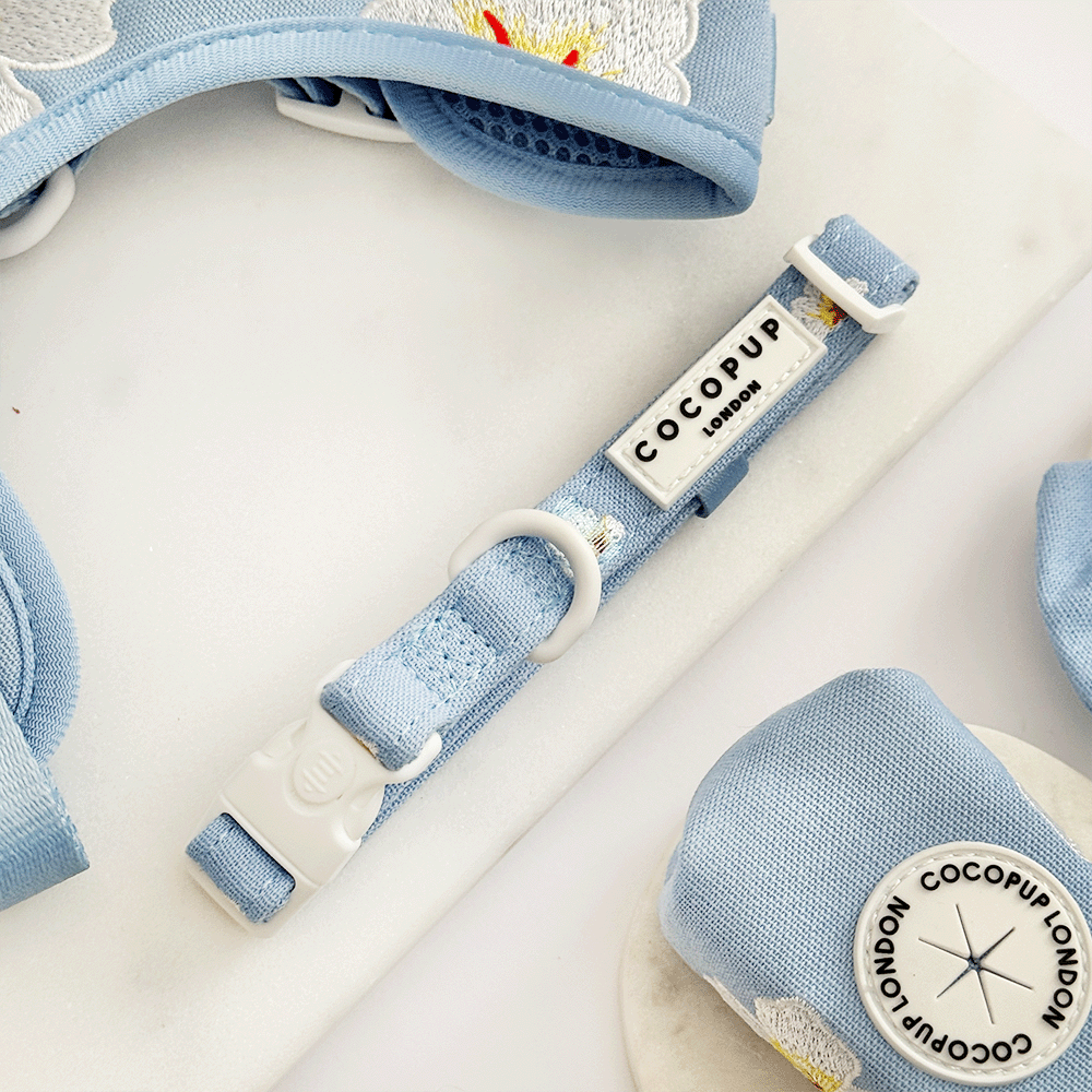 Blue Lagoon COLLAR