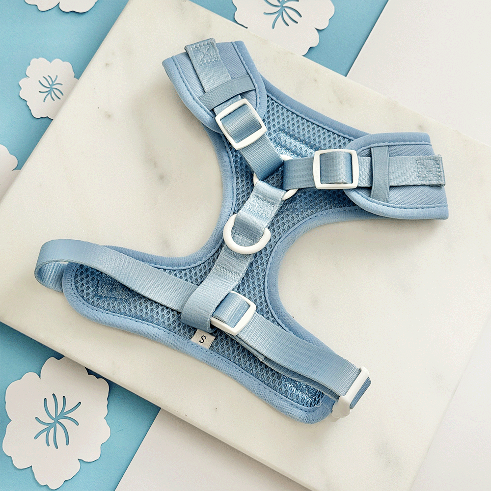 Blue Lagoon Adjustable Neck Harness, Lead & Collar Bundle