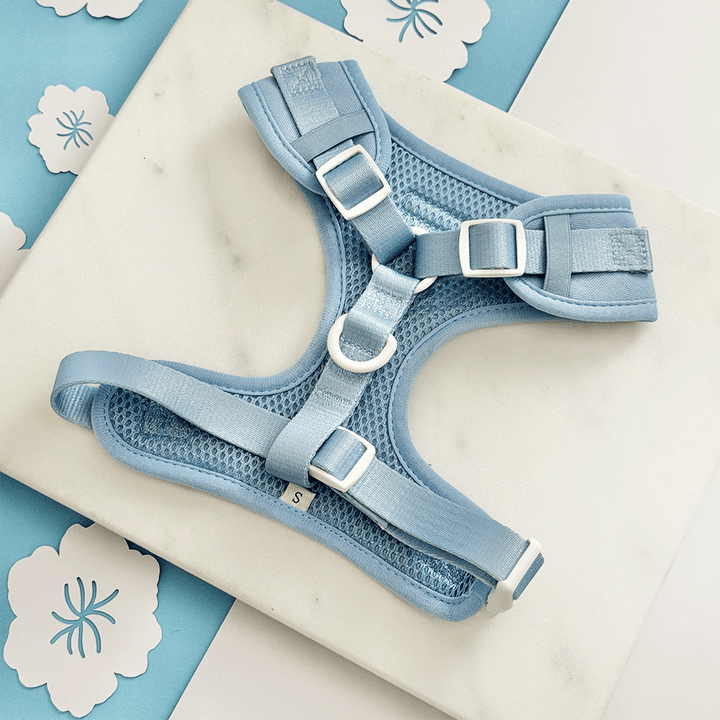 Blue Lagoon Adjustable Neck Harness, Lead & Collar Bundle